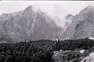A solitary man in a suit stands amidst a dense expanse of low-lying alpine shrubs against a backdrop of rugged, mist-shrouded...