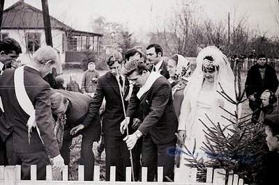 A young couple in wedding attire participates in what appears to be a tree-planting ceremony, possibly symbolic of new beginn...
