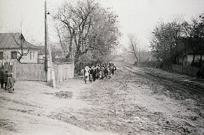 A group of children walk along a dirt road lined with wooden fences and simple homes. A tall utility pole stands near the for...