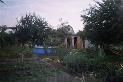 Rustic garden scene features raised vegetable beds, a small above-ground pool, and a weathered cottage with a steeply pitched...