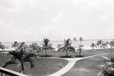 A view overlooking a palm-lined beach, likely a resort area, with a winding path leading toward the water. The scene features...