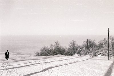 A solitary figure in a dark coat walks along a snow-covered road with a distant, hazy coastline. Sparse, snow-laden trees lin...
