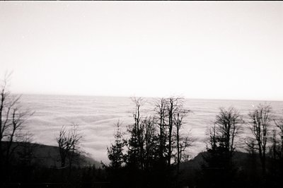 High-contrast black and white photograph showing a coastal landscape with a sea of clouds. Sparse, leafless trees silhouette ...
