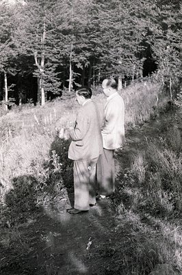 Two men in suits observe a landscape with tall, dense coniferous trees. The photo, likely taken in the mid-20th century, show...