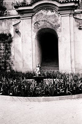 Ornate archway leads to steps, framed by a formal garden. A statue sits atop a fountain amidst lush foliage. Architectural de...