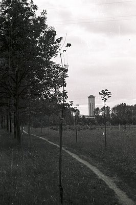A dirt path leads towards a stone observation tower situated within a forested landscape. Likely a rural or park setting, fea...
