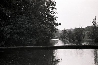 Serene, black and white landscape featuring a tranquil river reflecting dense forest foliage. A distant, gentle rise in terra...
