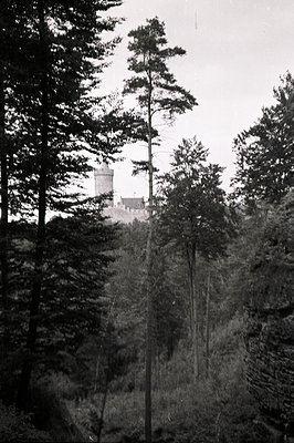 Tall pine trees frame a view of a medieval castle perched atop a rocky hill. The castle features multiple towers and crenella...