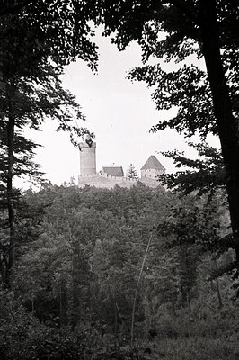 High-angle view frames a hilltop castle surrounded by dense evergreen forest. The castle features stone walls, towers, and a ...