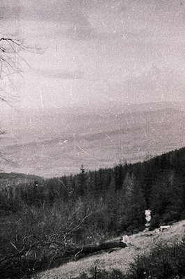 Dense evergreen forest slopes downward toward a distant, hazy landscape. A felled tree log rests on the foreground, alongside...