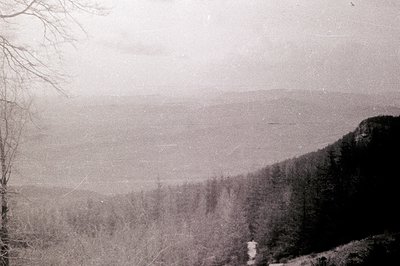 Monochrome landscape view; densely forested slopes ascend to a ridge line. A narrow, winding road descends the hillside. Heav...