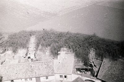 High-angle view of rooftops and lush vegetation. Visible are traditional tiled roofs, a narrow, winding path through dense fo...