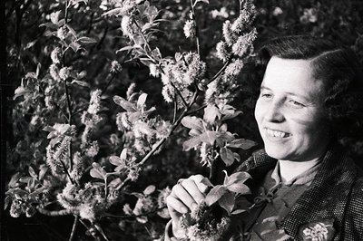 A smiling woman in a patterned jacket poses amidst a blossoming willow tree. Likely taken in the 1940s or 1950s, this candid ...