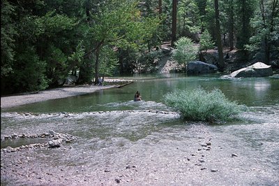 A shallow, fast-moving river flows through a rocky, forested landscape. A woman wading in the water is the central figure. Gr...