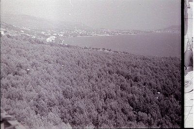A high-angle view shows dense forest covering a hillside leading to a coastal town and a wide bay. Likely Bulgaria, near Varn...