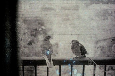 <start_of_image>Image description: A grayscale image featuring two pigeons perched on a ledge or railing. The composition app...