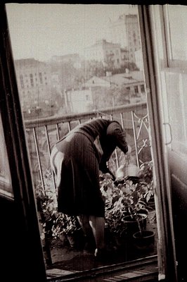 A woman tending to potted plants on a balcony; view overlooking a city. Possible 1960s or 70s style dress. Window frame visib...