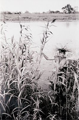 A young woman stands partially submerged in a tranquil body of water, framed by tall reeds and grasses. The composition highl...