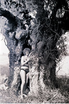 Striking black and white portrait. A woman in a vintage bikini poses leaning against a gnarled, expansive tree trunk. Sparse ...