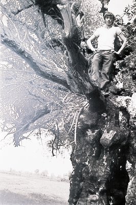 A young man in a white t-shirt and jeans poses perched on the thick branches of a gnarled tree. The rural landscape is blurre...