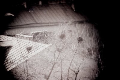 A monochrome, grainy photograph depicts a stark, snow-covered landscape with a visible roofline and bare trees. The image exh...