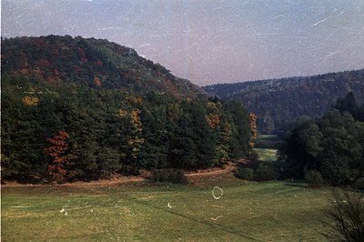 Lush, forested hillside slopes down to a broad, grassy valley. A winding road curves through the meadow, partially obscured b...