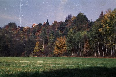 Vibrant autumn foliage cascades down a hillside, overlooking a lush green meadow. A traditional building with a steeply pitch...