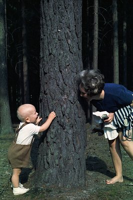 A barefoot woman and toddler examine a large pine tree in a wooded area. The child, wearing overalls and sneakers, reaches up...