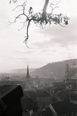 Overlooking a cityscape of tightly-packed buildings, dominated by a church spire and a distant, rounded dome. Silhouetted tre...