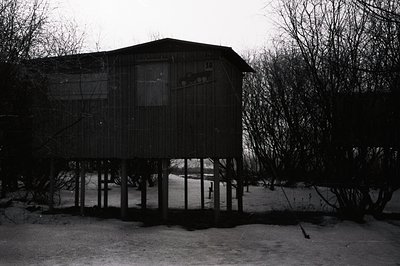Elevated wooden structure with visible signage "30" rests on sturdy supports. Sparse foliage and a snowy ground create a star...