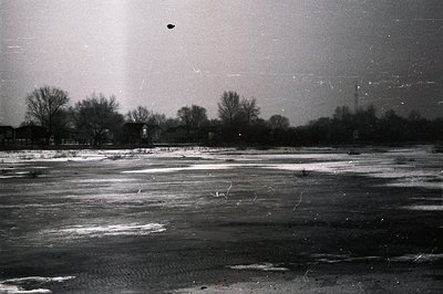 A vast, partially frozen landscape; bare trees and distant buildings contrast with a textured ice surface. A dark bird flies ...