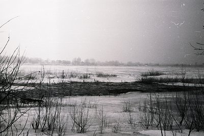 Sparse vegetation frames a frozen, expansive landscape. A frozen expanse reflects a hazy sky, suggesting a wide, shallow body...