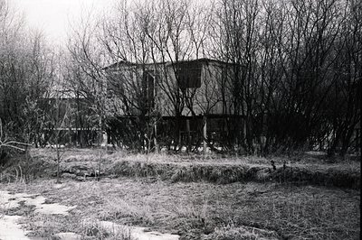 Dilapidated, single-story structure partially obscured by overgrown trees and vegetation. Visible structural damage, includin...