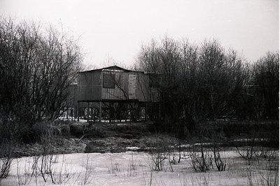 A weathered, elevated building, possibly a former workshop or storage structure, stands amidst a dense thicket of bare trees....