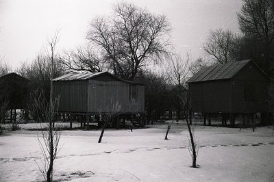 A stark, monochrome landscape features elevated, simple dwellings with gabled roofs, typical of rural or coastal architecture...