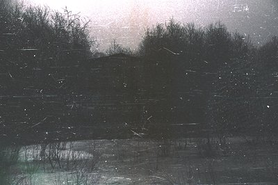 Bleak, wintry landscape showing a dense thicket of bare trees and undergrowth against a muted sky. Visible film grain and sur...