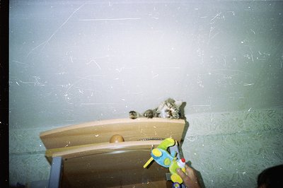 A child’s perspective view captures a toy water pistol aimed toward a display cabinet filled with stuffed animals. The visibl...