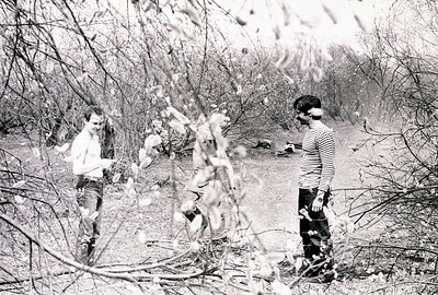 Three men stand outdoors amidst a grove of trees in bloom, likely spring. The subjects wear 1960s-70s style clothing; one hol...