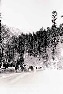 A group of pedestrians walk along a paved road, flanked by dense evergreen forest and a snow-capped mountain in the backgroun...