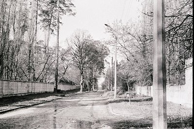 A long, straight road recedes into the distance, flanked by a low brick wall and a line of bare trees. The wet asphalt reflec...