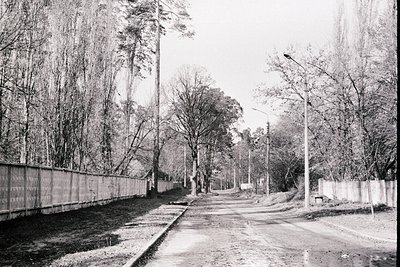 A long, narrow road stretches into the distance, flanked by a tall, weathered wooden fence and trees with sparse foliage. Min...