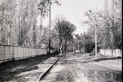 Monochrome photo depicts a quiet, tree-lined residential street. A weathered wooden fence runs along the left side, while hou...