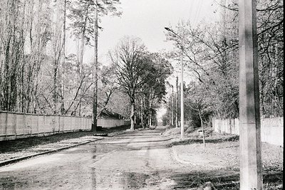 Long, wet road receding into the distance, lined with bare trees and a low concrete wall. Utility poles punctuate the perspec...