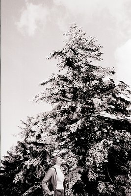Young woman in a sweater and jacket stands beneath a towering coniferous tree, gazing upwards. The low-angle shot emphasizes ...