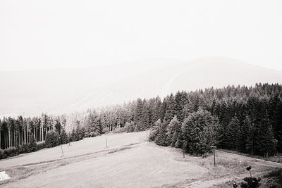 Forested hillside descends toward a roadway, framed by distant, hazy peaks. Likely a rural landscape, emphasizing texture & c...