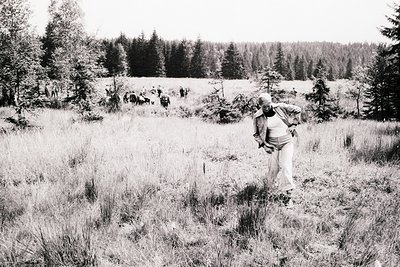 A man in bell bottoms and a button-down shirt strides across a grassy field toward a group of people in the distance. Dense e...