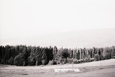 A monochrome landscape features dense evergreen forest bordering a sloping meadow. Distant, hazy mountains form a backdrop. A...