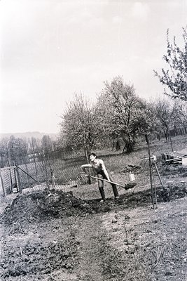 A shirtless man wields a shovel, partially obscured by foliage, in a rural, orchard setting. Earthy tones dominate, with visi...