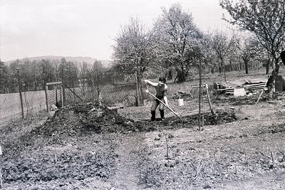 A shirtless man tilling a garden plot with a hoe. Surrounding a small fenced area are blossoming fruit trees and a rough, ove...
