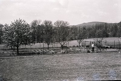 A monochrome landscape view featuring blooming fruit trees, a fenced garden, and distant, forested hills. A person stands nea...